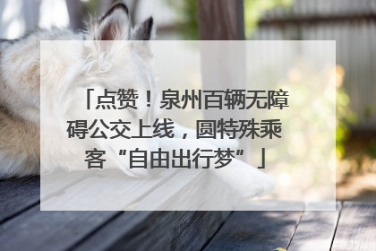 点赞！泉州百辆无障碍公交上线，圆特殊乘客“自由出行梦”