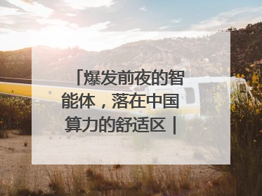 爆发前夜的智能体，落在中国算力的舒适区｜海斌访谈