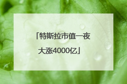 特斯拉市值一夜大涨4000亿