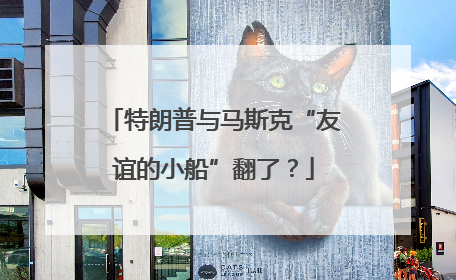 特朗普与马斯克“友谊的小船”翻了？