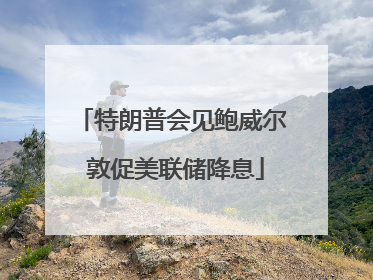 特朗普会见鲍威尔 敦促美联储降息