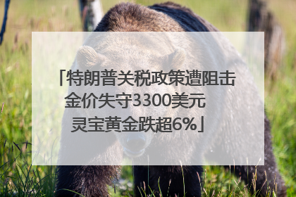 特朗普关税政策遭阻击金价失守3300美元 灵宝黄金跌超6%