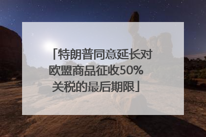 特朗普同意延长对欧盟商品征收50%关税的最后期限