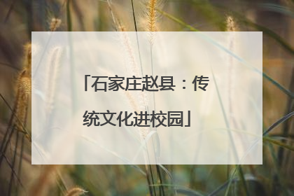石家庄赵县：传统文化进校园