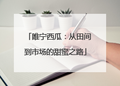 睢宁西瓜：从田间到市场的甜蜜之路