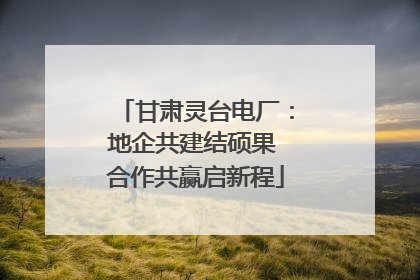 甘肃灵台电厂：地企共建结硕果 合作共赢启新程
