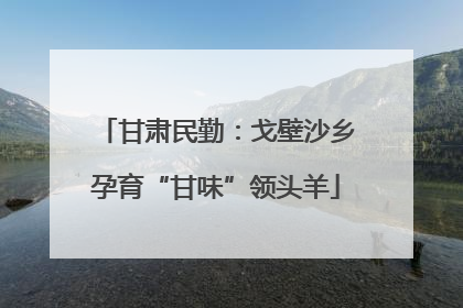 甘肃民勤：戈壁沙乡孕育“甘味”领头羊
