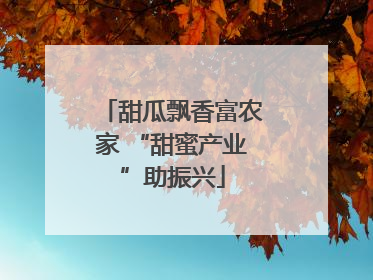甜瓜飘香富农家 “甜蜜产业”助振兴