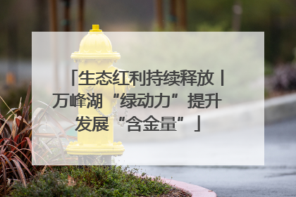 生态红利持续释放丨万峰湖“绿动力”提升发展“含金量”