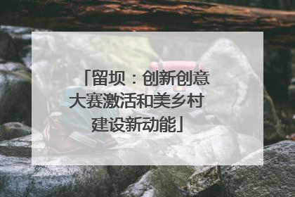 留坝：创新创意大赛激活和美乡村建设新动能