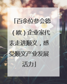 百余位参会德（欧）企业家代表走进顺义，感受顺义产业发展活力
