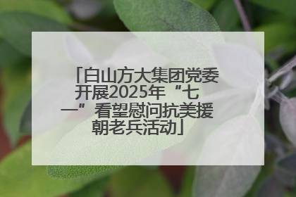 白山方大集团党委开展2025年“七一”看望慰问抗美援朝老兵活动