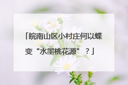 皖南山区小村庄何以蝶变“水墨桃花源”？