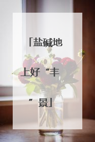 盐碱地上好“丰”景