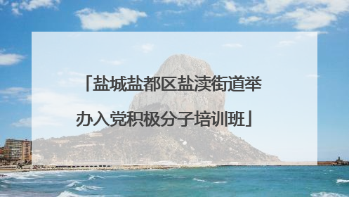 盐城盐都区盐渎街道举办入党积极分子培训班
