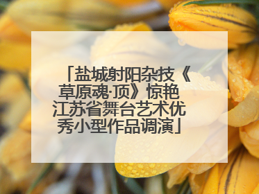 盐城射阳杂技《草原魂·顶》惊艳江苏省舞台艺术优秀小型作品调演