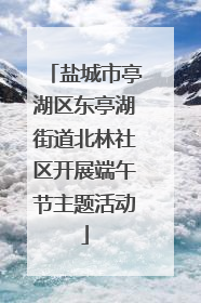 盐城市亭湖区东亭湖街道北林社区开展端午节主题活动