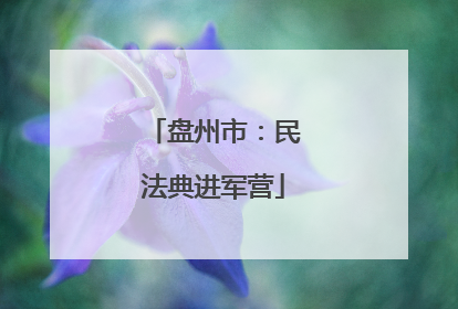 盘州市：民法典进军营