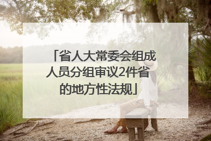 省人大常委会组成人员分组审议2件省的地方性法规