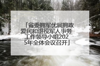 省委拥军优属拥政爱民和退役军人事务工作领导小组2025年全体会议召开