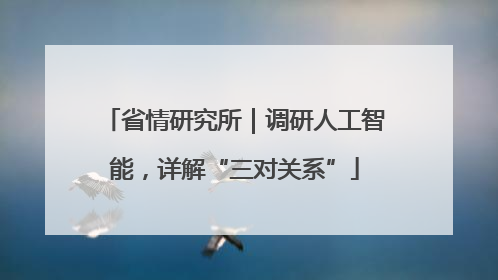 省情研究所｜调研人工智能，详解“三对关系”