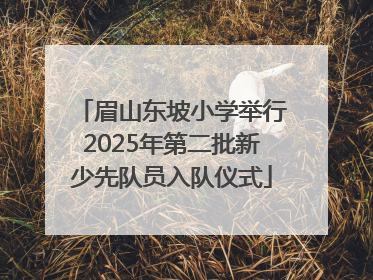 眉山东坡小学举行2025年第二批新少先队员入队仪式