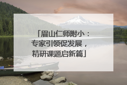 眉山仁师附小：专家引领促发展，精研课题启新篇