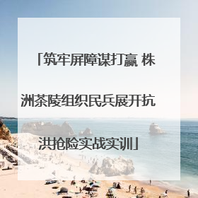 筑牢屏障谋打赢 株洲茶陵组织民兵展开抗洪抢险实战实训