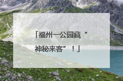 福州一公园藏“神秘来客”！