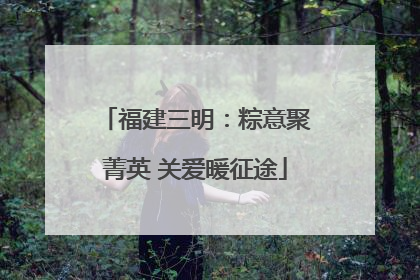 福建三明：粽意聚菁英 关爱暖征途