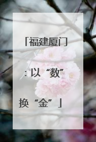 福建厦门：以“数”换“金”