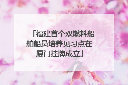 福建首个双燃料船舶船员培养见习点在厦门挂牌成立