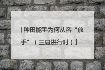 种田能手为何从容“放手”（三夏进行时）