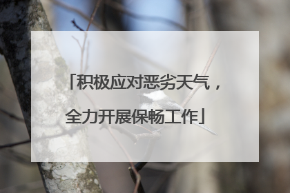 积极应对恶劣天气，全力开展保畅工作
