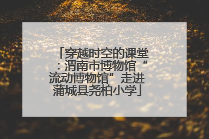 穿越时空的课堂：渭南市博物馆“流动博物馆”走进蒲城县尧柏小学