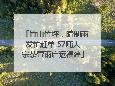 竹山竹坪：晴制雨发忙赶单 57吨大宗茶冒雨启运福建