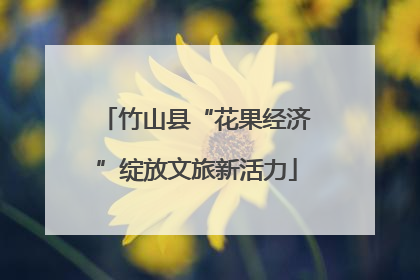 竹山县“花果经济”绽放文旅新活力