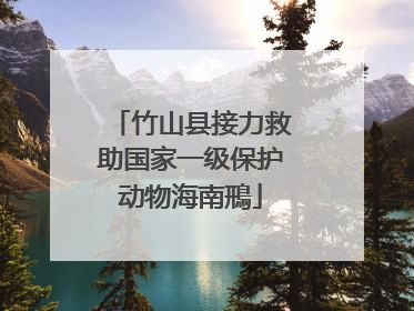 竹山县接力救助国家一级保护动物海南鳽