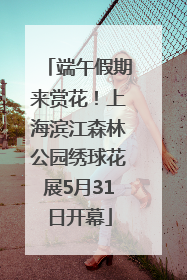 端午假期来赏花！上海滨江森林公园绣球花展5月31日开幕