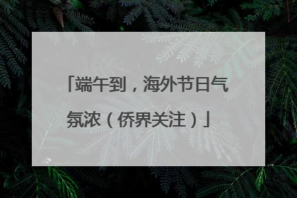 端午到，海外节日气氛浓（侨界关注）