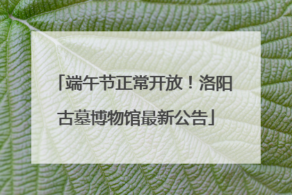 端午节正常开放！洛阳古墓博物馆最新公告