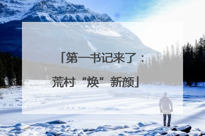 第一书记来了：荒村“焕”新颜