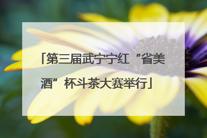 第三届武宁宁红“省美酒”杯斗茶大赛举行