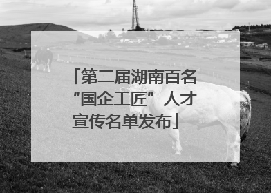 第二届湖南百名“国企工匠”人才宣传名单发布