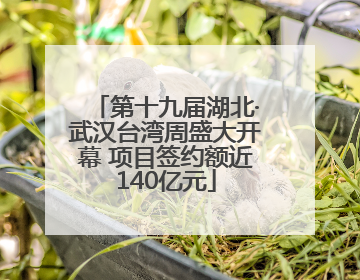 第十九届湖北·武汉台湾周盛大开幕 项目签约额近140亿元