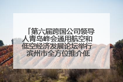 第六届跨国公司领导人青岛峰会通用航空和低空经济发展论坛举行 滨州市全方位推介低空经济发展优势