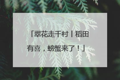 翠花走千村丨稻田有喜，螃蟹来了！