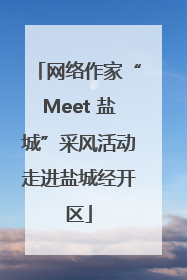 网络作家“Meet 盐城”采风活动走进盐城经开区