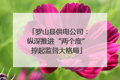 罗山县供电公司：纵深推进“两个度” 撑起监督大格局