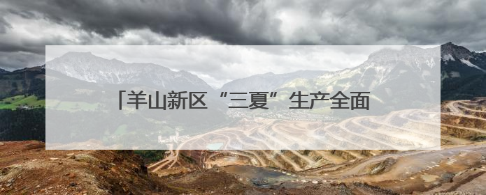 羊山新区“三夏”生产全面发力,护航农业稳产增收